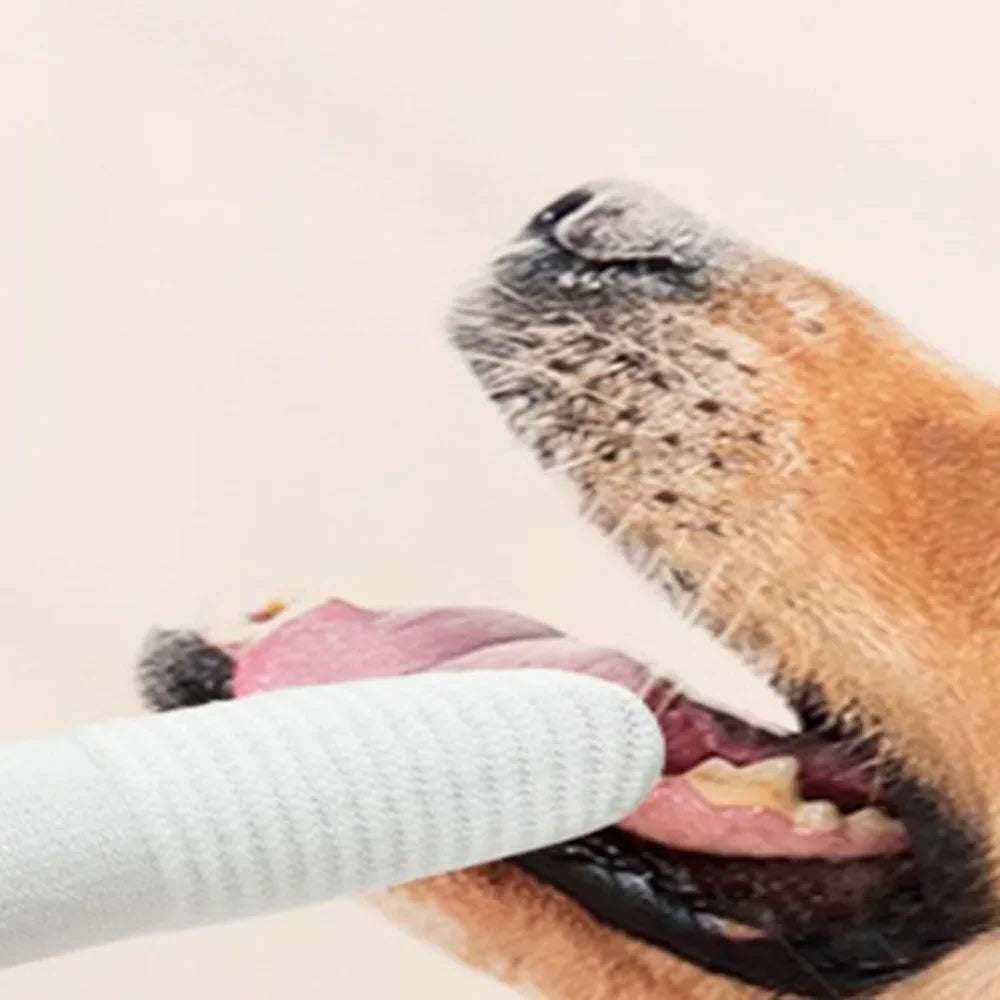 10 Pcs Pet Finger Soft Toothbrush Finger Sleeve Brushes Remove Tartar Cochlear Clean for Dog Cat Toothbrush Pet Oral Care