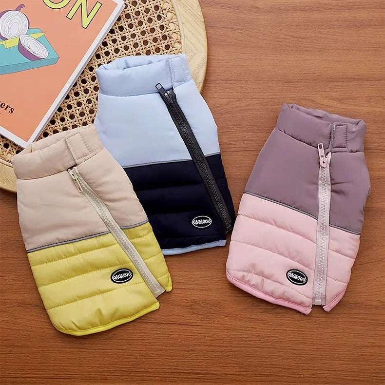 The Dog's Clothes Are A Small Cotton Vest with A Zipper, Similar To A Yorkshire Terrier or Dachshund Pet Clothing.