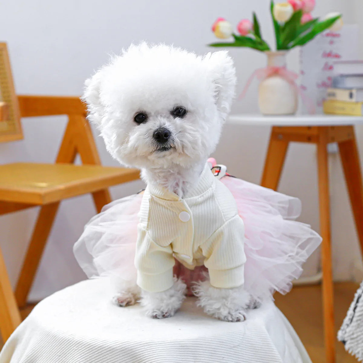 Fancy Bowtie Pet Dress For Dogs Spring Summer Puppy One Piece Apparel Girl Female Luxury  Formal Cat Wear Yorkshire Terrier Item