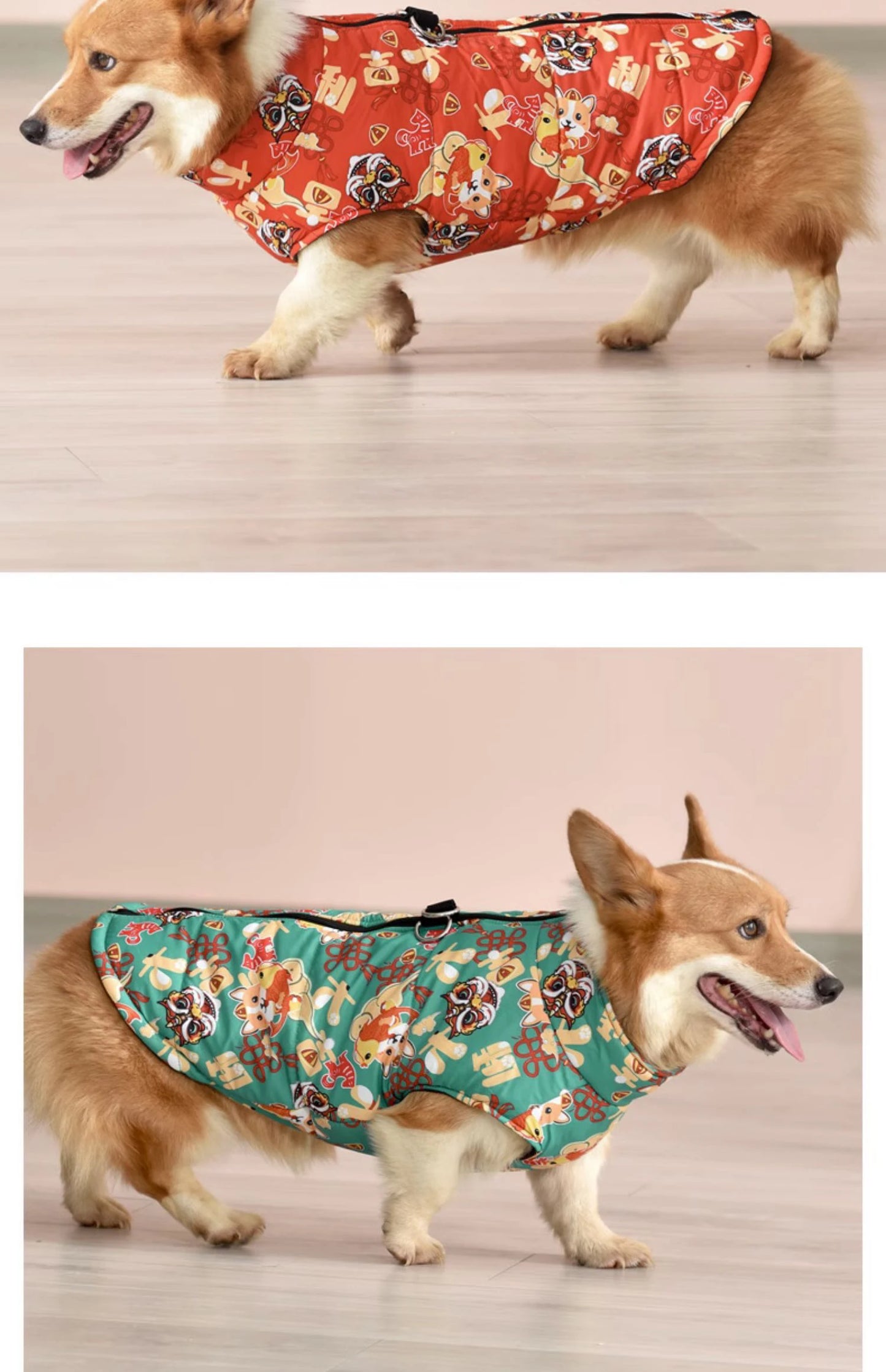 the FROSTCORE DOWN DOG JACKET - Warm Dog Down Jacket, Winter Thickened Dog Clothes, Waterproof Dog Jacket, Medium and Large Dog Clothing, Welsh Corgi Clothing