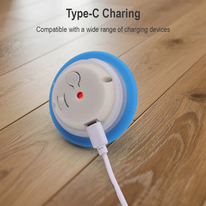 Cat Dog Interactive Ball Toy Automatic Rolling Ball Faux Tail Rechargeable Smart Pet Electric Toy Dog Cat Training Imitate Mouse