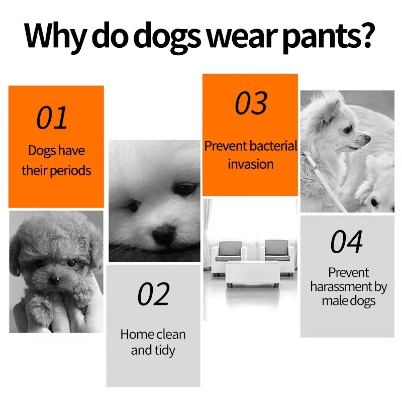 3pcs Set Washable Female Dog Physiological Pants Cute Cartoon Print Dog Diaper Underwear Dog Sanitary Panties Random Colors