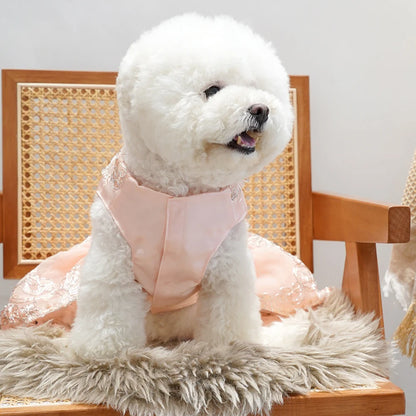 Dog Lace Wedding Dress Princess Dresses for Small Dogs Puppy Tutu Skirt Pet Birthday Party Costume Supplies for Spring Summer