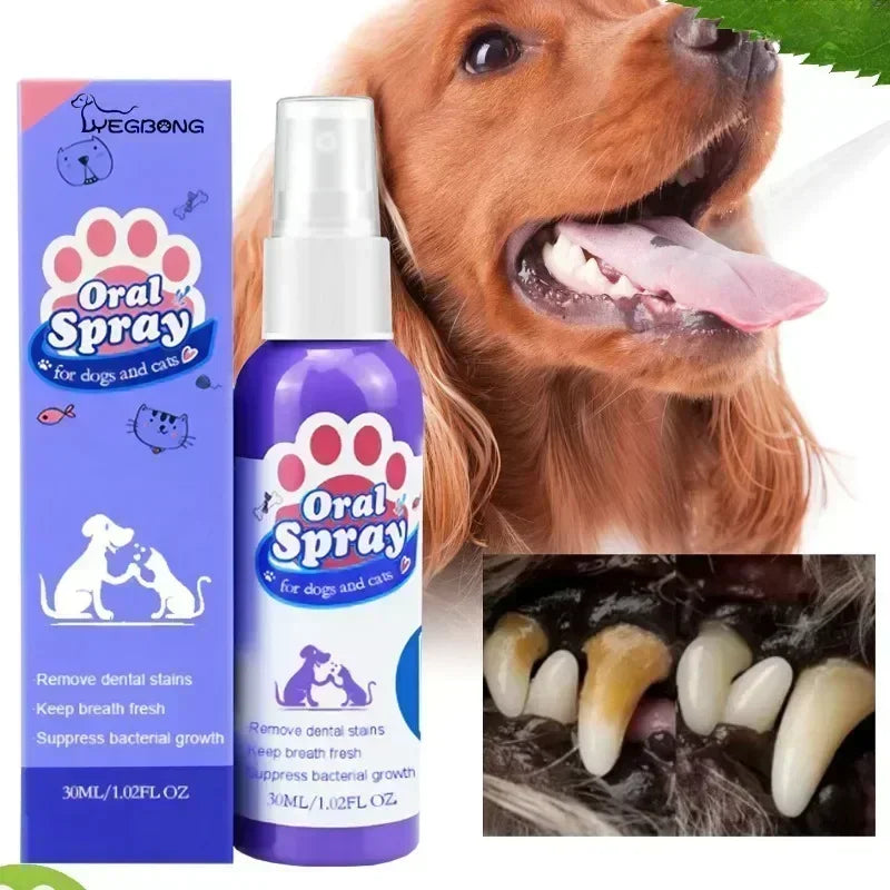 the ORAL SPRAY - Pet Teeth Cleaning Spray, Oral Care, Remove Tooth Stains, Keep Fresh Breath for Cats and Dogs, Whitening & Remove Bad Breath