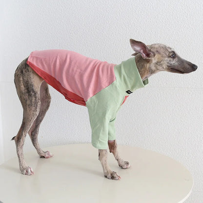 8colors Italian Greyhound Hound Two-Legged Clothes Fashionable Multicolor Soft Comfortable Elastic Fashion Patchwork Dog Clothes