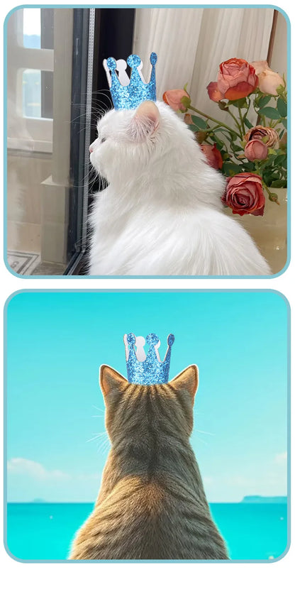 Pet Birthday Hat Glitter Bronzing Dog Crown Birthday Party Cat Dress Up Hat Photo Props