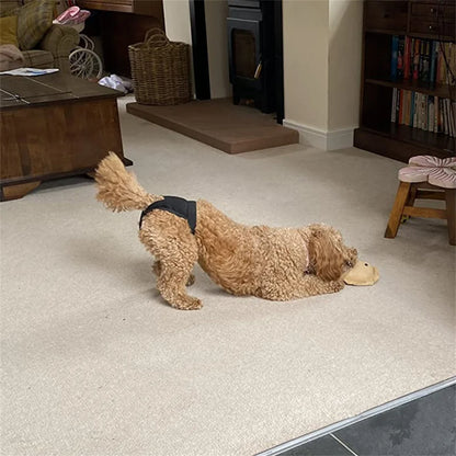 the DOGGY DIAPER - Female Dog Nappies with 8 Sanitary Pad for Bleeding, Physiological Washable Nappies, Anti-Male Dogs Harass Pants