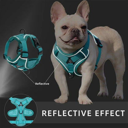 the NOPULL PRO HARNESS SET - No Pull Dog Harness and Leash Set Adjustable Pet Harness Vest for Small Dogs Cats Reflective Dog Chest Strap Lead Walking