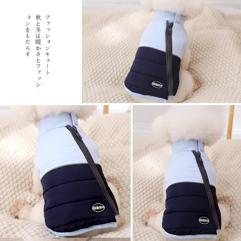 The Dog's Clothes Are A Small Cotton Vest with A Zipper, Similar To A Yorkshire Terrier or Dachshund Pet Clothing.