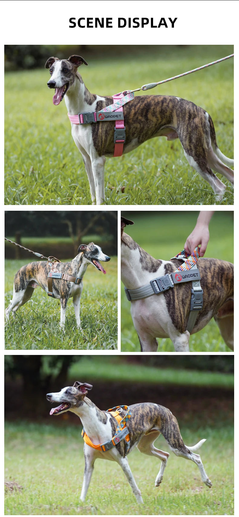 Large Pet Dog Reflective Harness Cat Chest Strap Adjustable Small Medium Dog Puppy Harness Vest Teddy Outdoor Walker Lead Leash