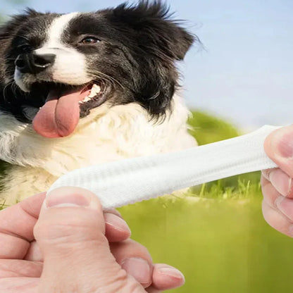 10 Pcs Pet Finger Soft Toothbrush Finger Sleeve Brushes Remove Tartar Cochlear Clean for Dog Cat Toothbrush Pet Oral Care