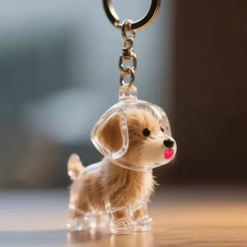 Clear Puppy Hair Memorial Keepsake Capsule Pet's Dog Fur Storage Container Pendant Keychain Decor Pet Lovers Home Display Gifts