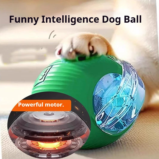 RoboRomp Play Ball™ | Smart Interactive Automatic Dog Toy | Dog Paw Clothing