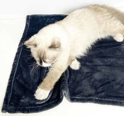 Soft Thickened Warm Dog Blanket, Washable Pet Sleeping Blanket, Cats Bed Mat Puppy Kitten Nest Pads Pet Accessories