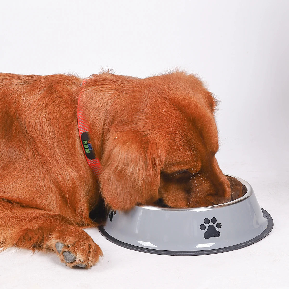Stainless Steel Pet Bowl Cat  Dog Food Bowl Multi-Specification Anti-fall Food Bowl Food Bowl Feeding Pet Supplies 16 To 22 Cm