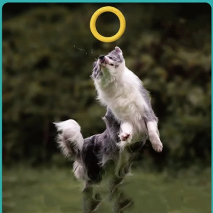 1PC Large Dog Interactive TPR Toy - Durable Floating Ring Pulling Dog Ring for Teeth Grinding And Interactive Play