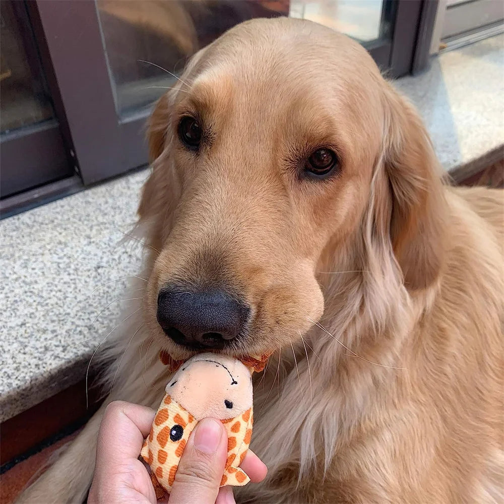 the GO BANANAS CHEW TOYS - 10 PACK SET - Pet Dog Toys, Plush Chew Toy, Soft Banana Bone Vegetable Fruit Squeaky Puppy Training Interactive Toy, Bite-Resistant, Pet Supplies