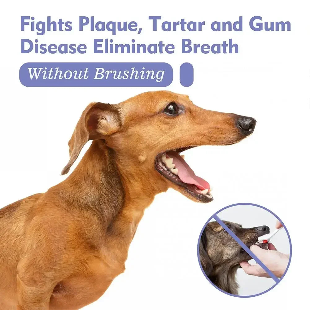the DOGGY BREATH SPRAY - Pet Teeth Cleaning Spray, Prevent Calculus Cat/Dog Tartars, Bad Breath Removal, Dog Keep Fresh Breath, Deodorization Pet Oral Care Spray