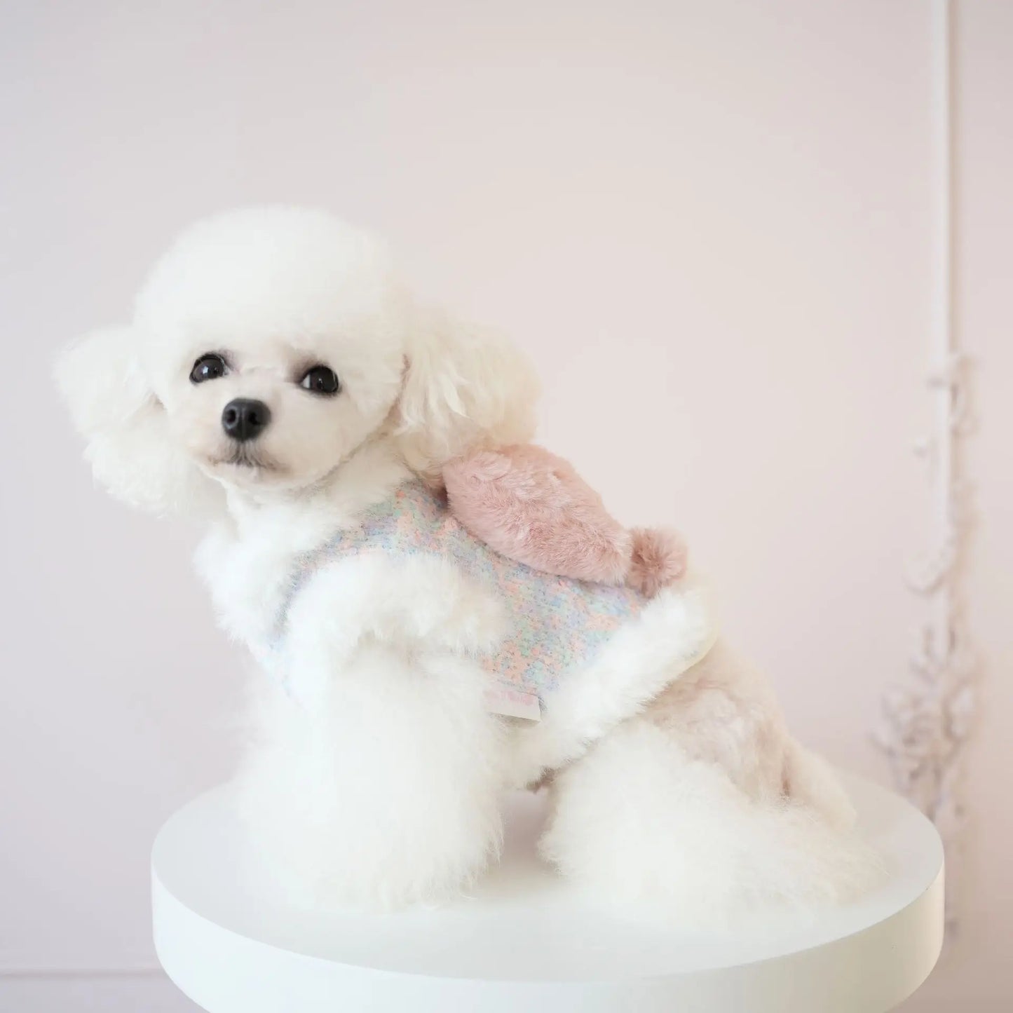 Pet Colorful Bow Set Skirt Autumn/Winter Bow Plush Coat Dress Warm Clothes Teddy Clothes Puppy Clothes for Small Dogs