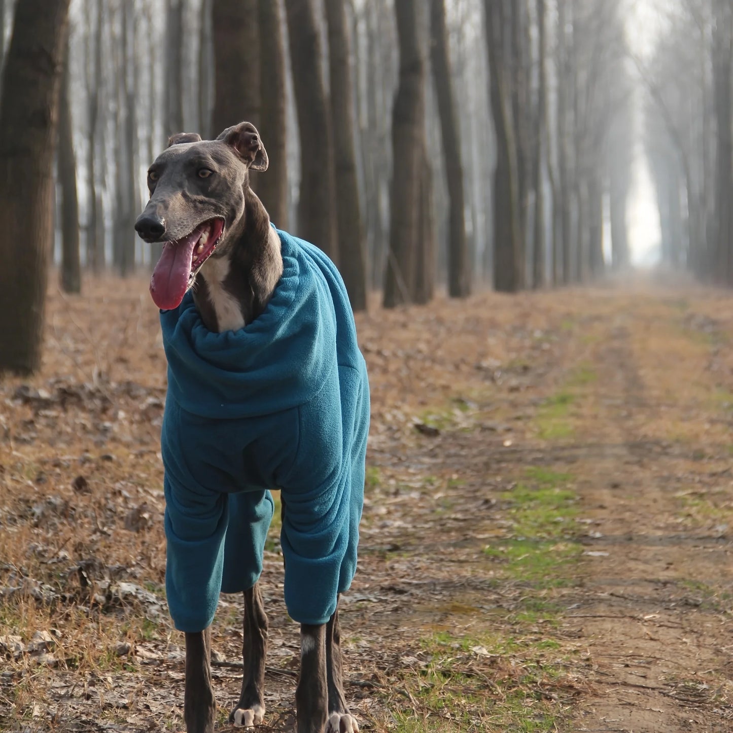 Cozy Polyester Dog Onesie with Safe Zipper Anti-Shedding Warm Pajamas with Feet Comfortable Jumpsuit for Small To Large Breeds