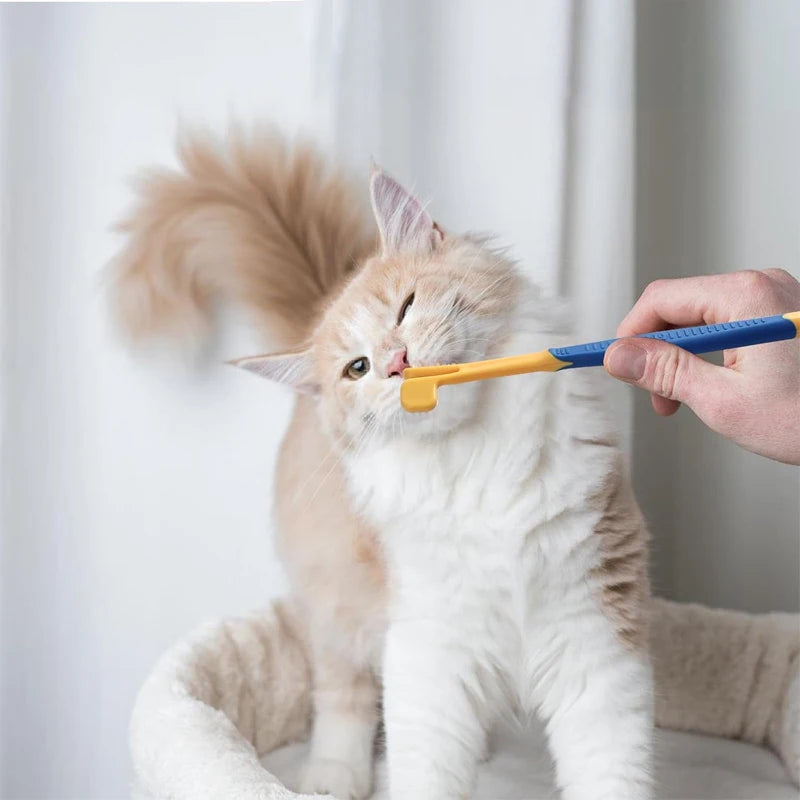 the GROOMING & BEAUTY KIT - 8PCS Complete Grooming Pet Brush Beauty Kit, Cleaning Brush Storage Bag, Dogs Nail Clipper - Flea Comb Cat Hair Removal Brush Kits