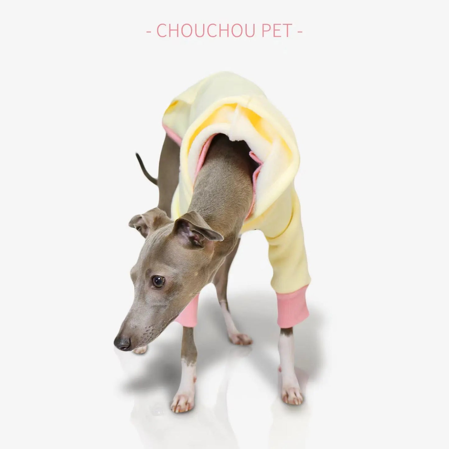 Spring new hooded pet sweatshirt Italian iggy coat Whippet sweatshirt suitable for small and medium-sized dogs