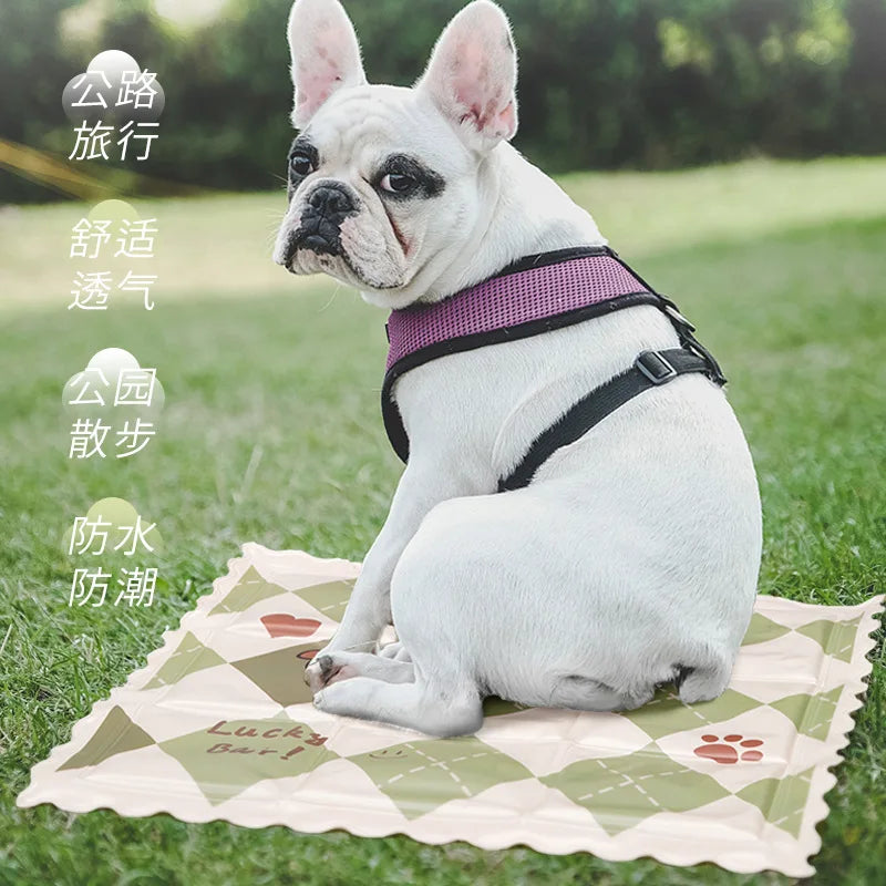 Pet Cooling Cooling Bed Summer Dog Cooling Sleeping Pad Cooling Pad Dog Bed Cooling Nest Summer Cool Cushion