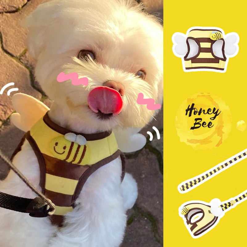 the BUZZBUDDY WALK SET - Cute Bee Kitten/Puppy/Dogs Harness and Leash Set, Soft Breathable Dogs Vest Harness Leads, Pet Clothes for Small Dogs, Chihuahua