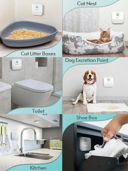 the PURIFIER - Downy Paws 4000mAh Smart Cat/Dog Odor Purifier, Cat Litter Box Deodorizer, Pet Toilet Air Purifier, Dog/Cat Litter Deodorant