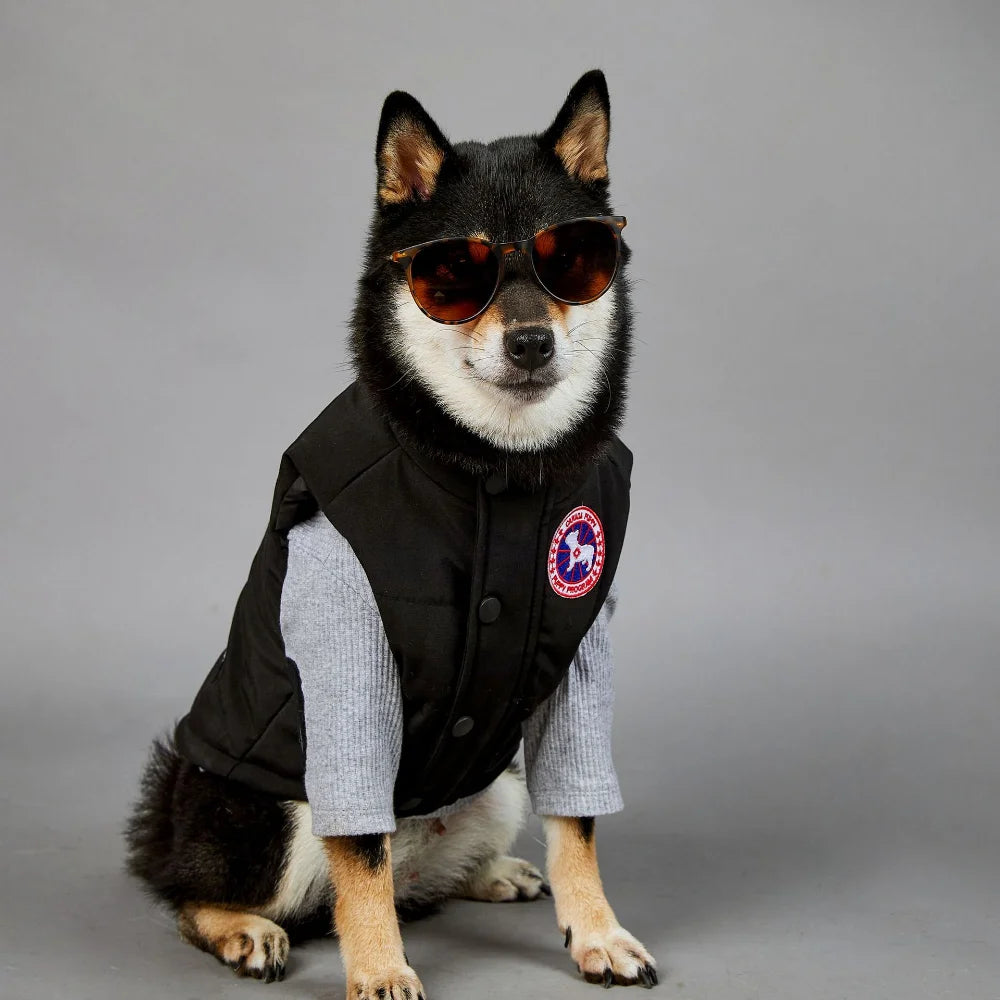 NONOR New Winter Pet Dog Clothes Cotton Vest Warm Windproof Dog Jacket French Bulldog Puppy Yorkshire Chihuahua Dog Costume