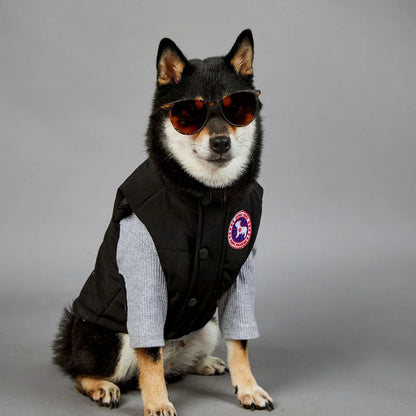 NONOR New Winter Pet Dog Clothes Cotton Vest Warm Windproof Dog Jacket French Bulldog Puppy Yorkshire Chihuahua Dog Costume