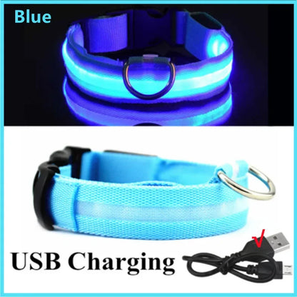 the TRIGLOW SAFETY COLLAR - 3 Modes Dog Luminous Charge Collar, Led USB Cat/Dogs Collars, Detachable Night LED Glow, Dog Loss Prevention Collar, Pet Accessories