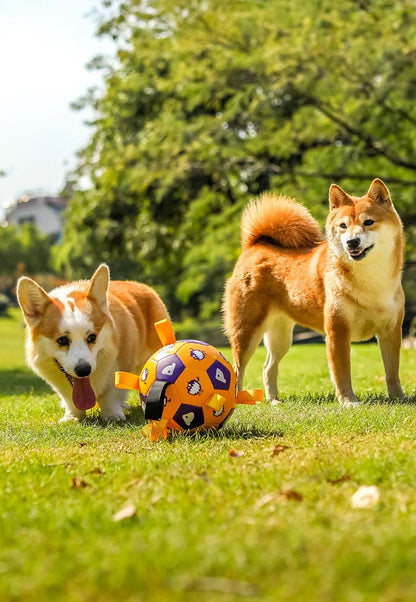 Dog outdoor chewing toy that is durable, bite-resistant and makes sound - inflatable football toy