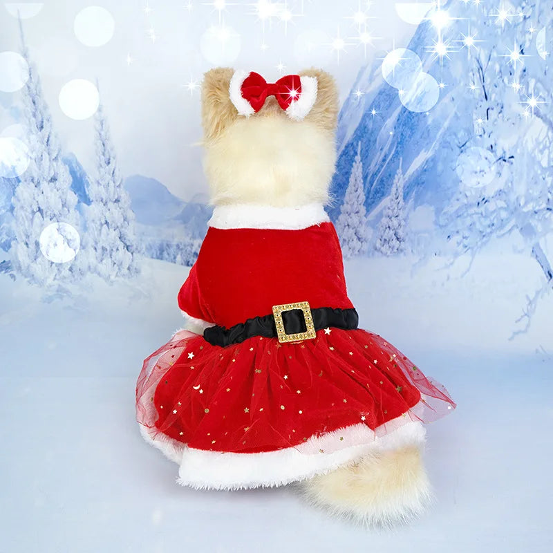 the CHRISTMAS BELLE DRESS - Christmas Red Mesh Dog Dress with Bow Headpiece, Festive Outfit for Small & Medium Dogs