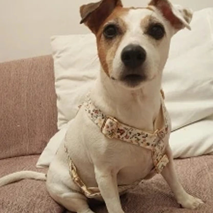 the ELITEPAW PERSONALIZED COLLAR - Designer Personalized Luxury Tactical Dog Collars, Pet Accessories, Personalized Printed Products for Dogs, Custom Dog Accessories