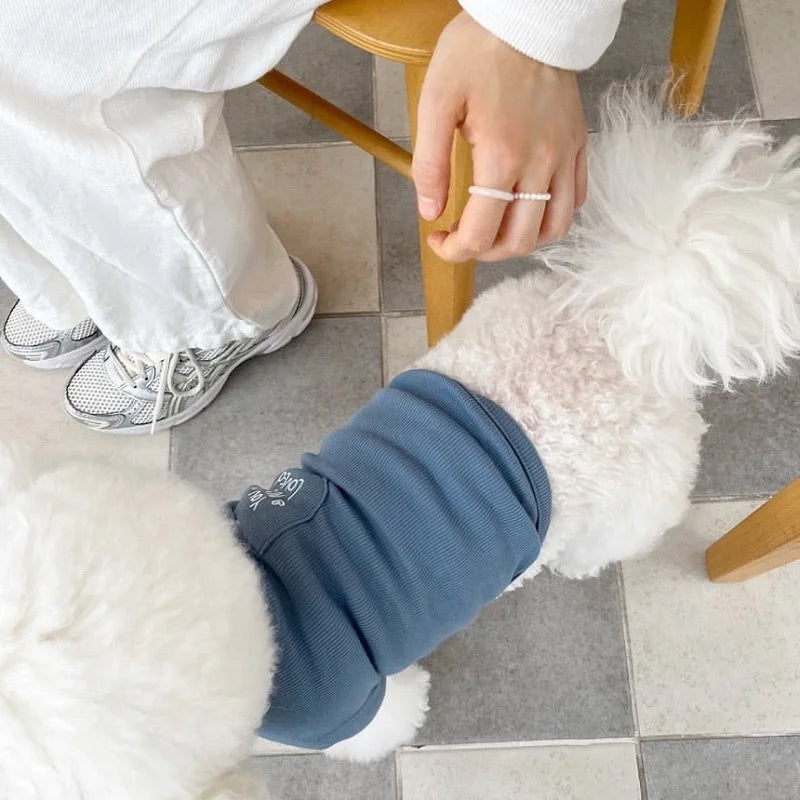 Autumn Winter Thin Warm Dog Pullover Solid Dog Hoodies Pet Vest Girls Dog Costume Chihuahua Bichon Clothing Letter Cat Dog Shirt
