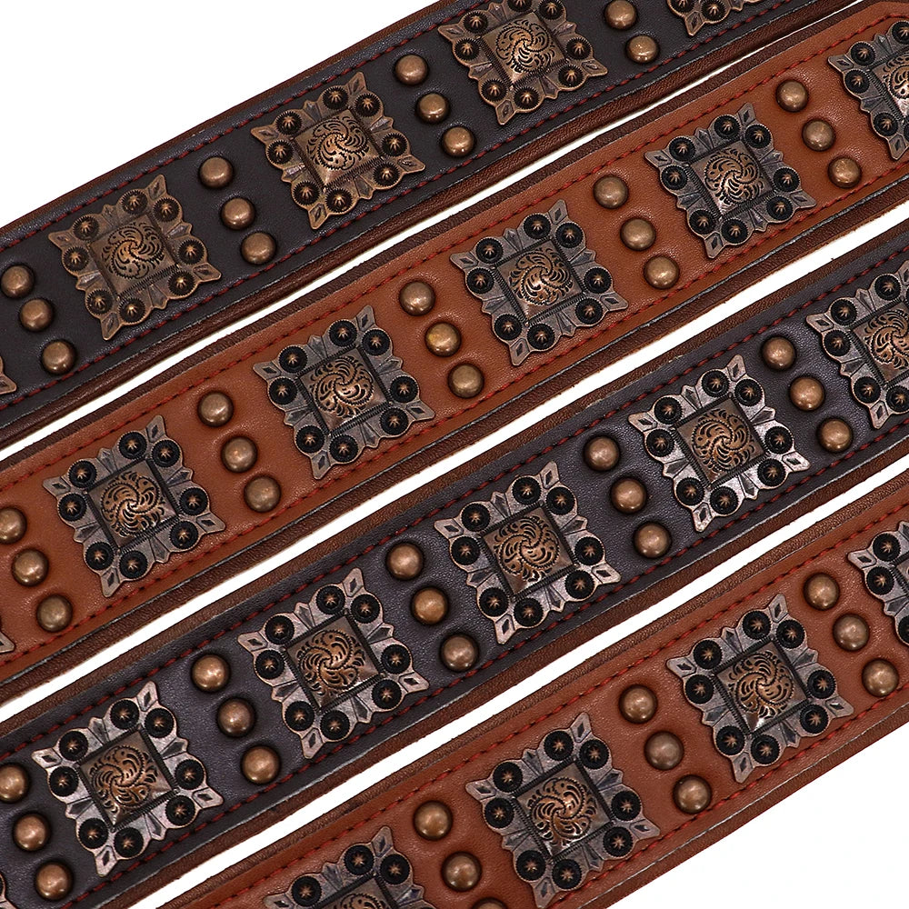 the APEX ARMOR COLLAR - Cool Spiked Dog Collar for Medium/Large Dogs, Genuine Leather, Pitbull Bulldog, Adjustable Pet Accessories, Collars Necklace