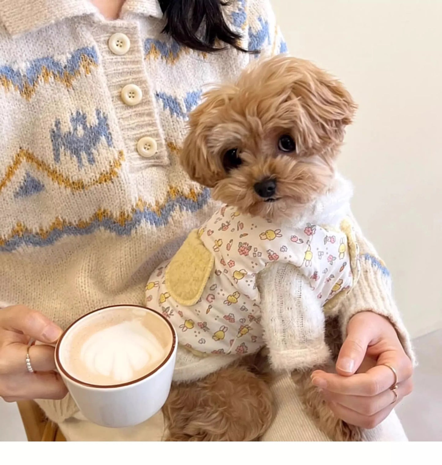 Pet cotton coat - Dog clothes - Small dog - Cat cotton jacket