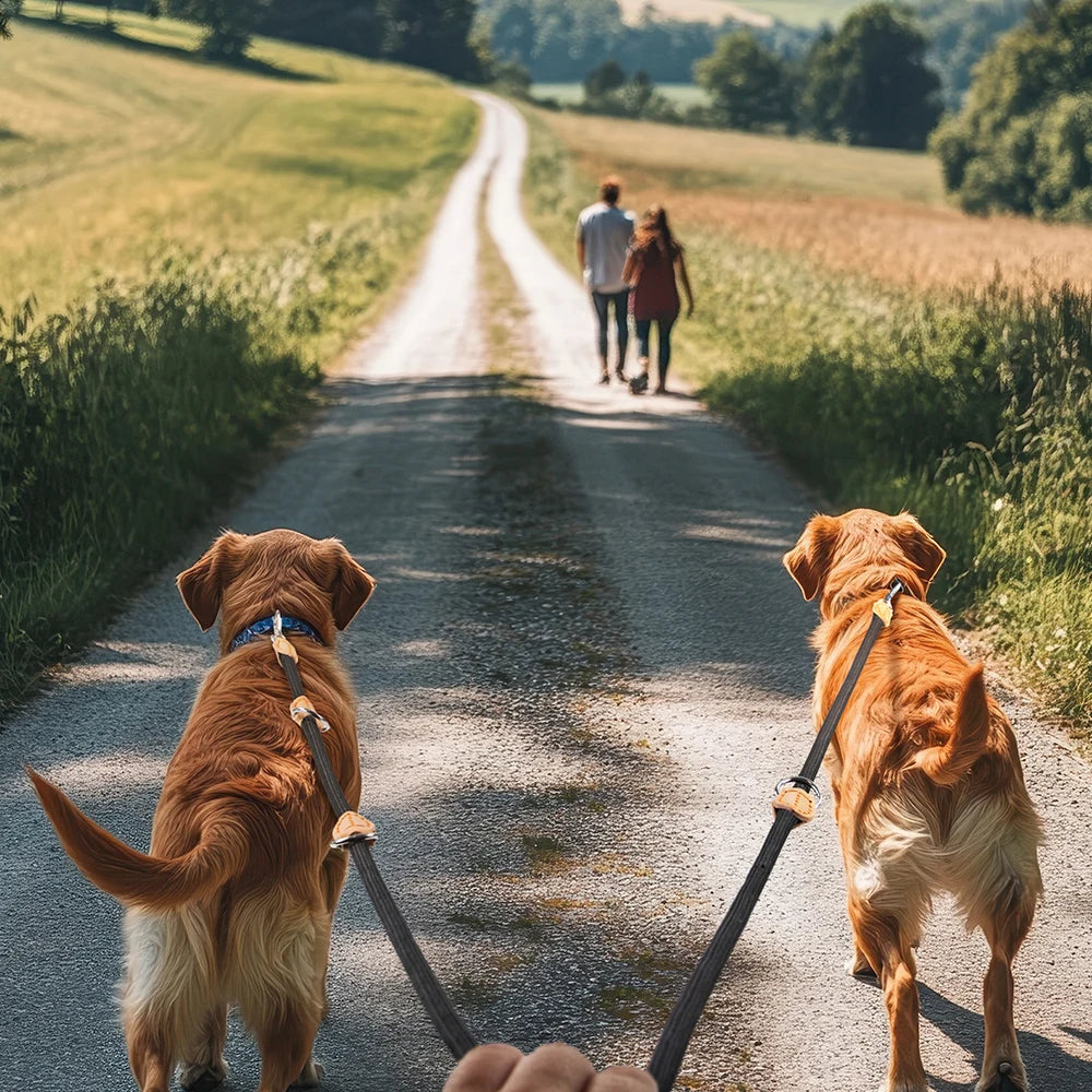 the TRAILMASTER HANDS-FREE LEASH - New Generation Dog Leash, Multi-Functional 2.1M Generation Adjustable and Nylon for Large, Hands-Free Leash for 2 Dogs, Universal