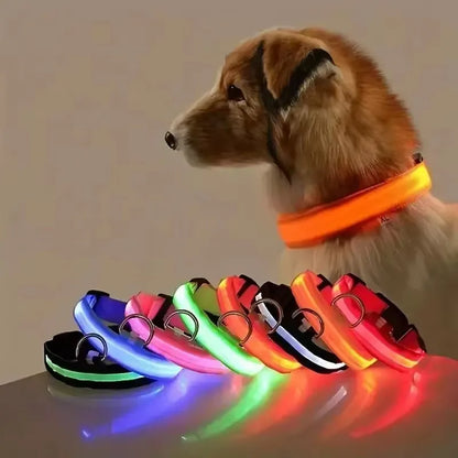the GLOWTRAIL NIGHT COLLAR - BOOTEELY Nylon LED Night Safety Flashing Glow-in-the-Dark Dog Collar, Dogs Luminous Fluorescent Pet Dog Collar