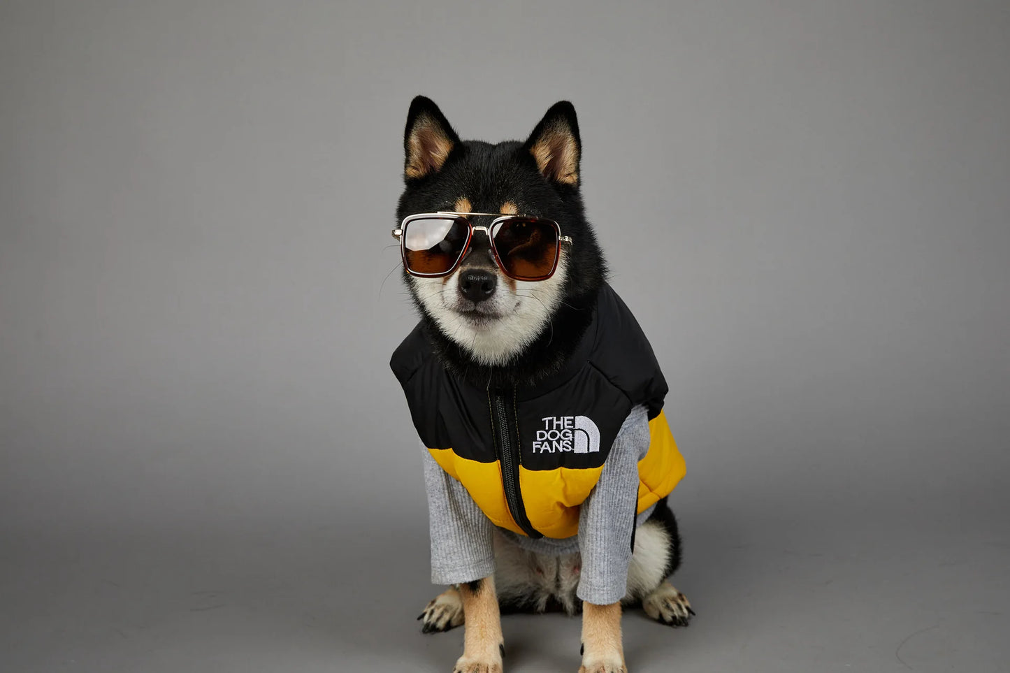 Dog Fans Punch Large Dogs Winter Warm Raincoat Anti Pet Cotton Clothing Windproof Rainproof Dog Coat