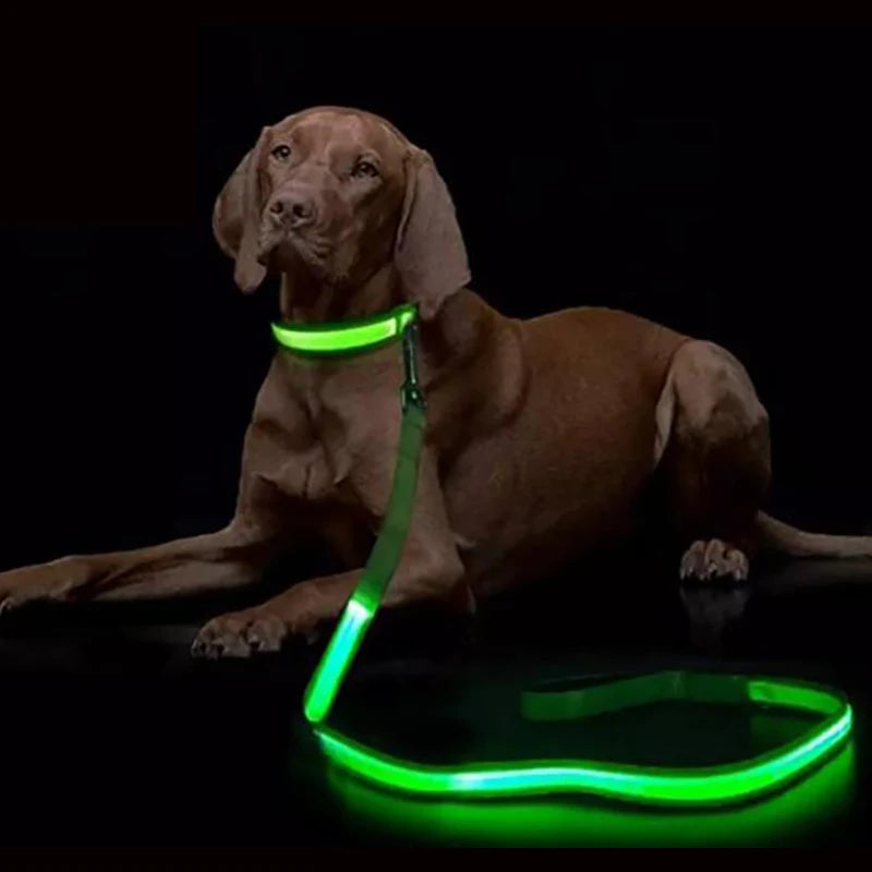 the GLOWTRAIL LED LEASH - LED Light Up Dog Leash, Luminous Rope Lead Leash for Dog Safety, Flashing Glowing Dog Leash, Electronic Pet Accessories