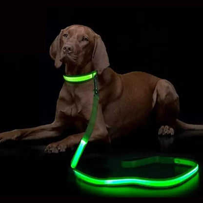the GLOWTRAIL LED LEASH - LED Light Up Dog Leash, Luminous Rope Lead Leash for Dog Safety, Flashing Glowing Dog Leash, Electronic Pet Accessories