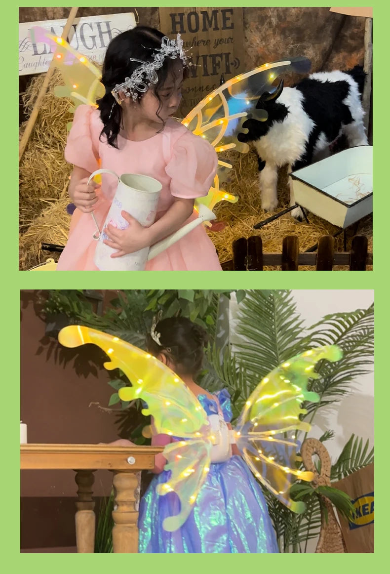 the GLOW WINGS - Dog Butterfly Wings, Pet Glowing Wings, Puppy Summer Clothes, Decorative Samoyed/Husky Medium Dogs