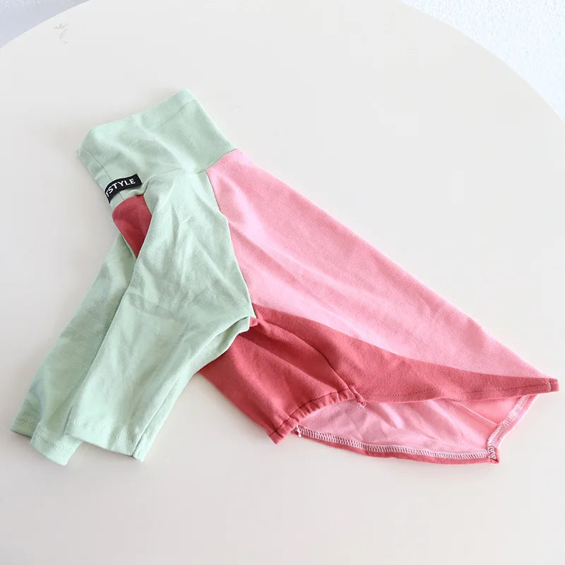 8colors Italian Greyhound Hound Two-Legged Clothes Fashionable Multicolor Soft Comfortable Elastic Fashion Patchwork Dog Clothes