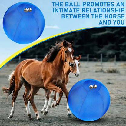 Dog Giant Toy Ball Large Pet Outdoor Training Supplies Children's Interactive Game Toys Interest Play Balls Dog Like Colors Ball