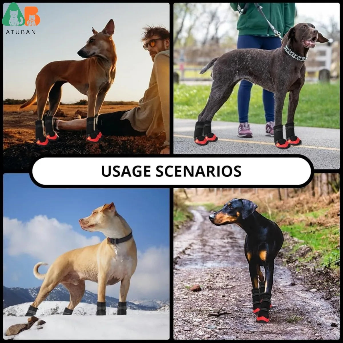 the PROTECTIVE PET PAWS - 4PCS Dog Shoes for Hot Pavement, Anti-Slip Dog Boots, Waterproof Dog Shoes for All Dogs, Reflective Straps Pet Dog Boots for Hiking