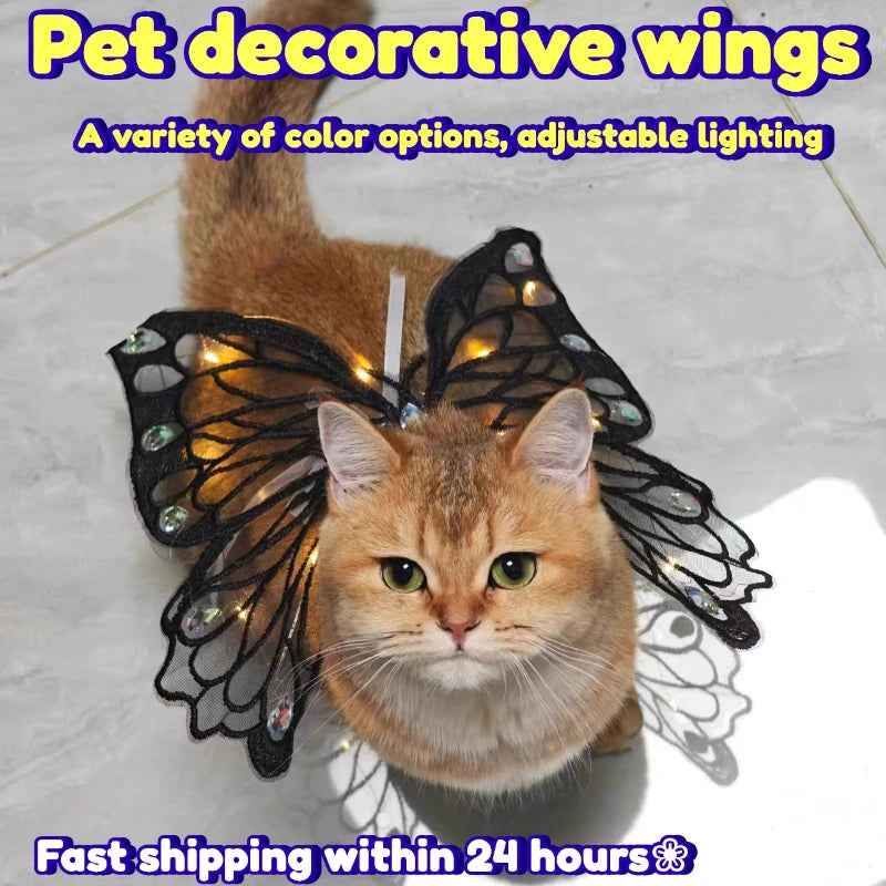 Dog wings glowing butterfly back decoration puppy summer clothes chest back decoration small dog Pomeranian Teddy Bigbear