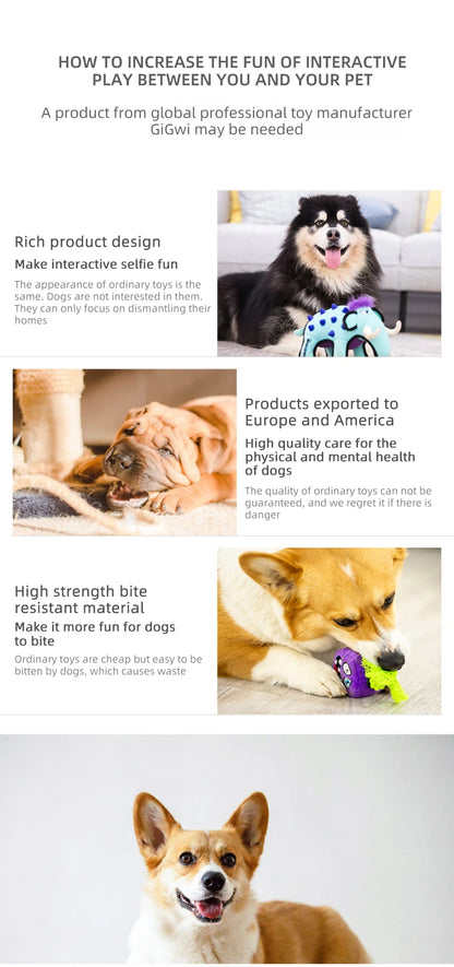 GiGwi Dog Toys Canvas Combined Material Bite-resistant Interactive Toy For Dog Molar Training Pet Supplies Aggressive Chewers