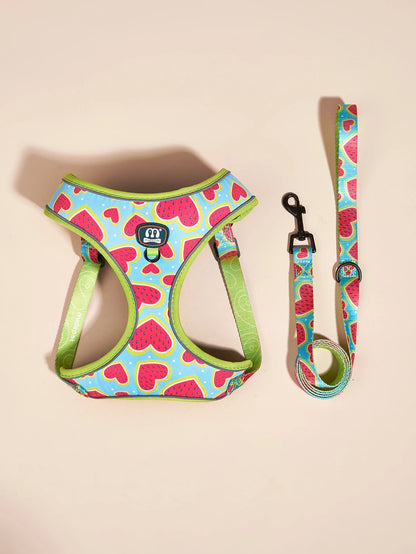the JUCIYPAWS 3-PIECE SET - 3PCS/Set Watermelon Love, High Quality Dog Harnes Leash with Poop Bag Holder Set, Soft Breathable Lining